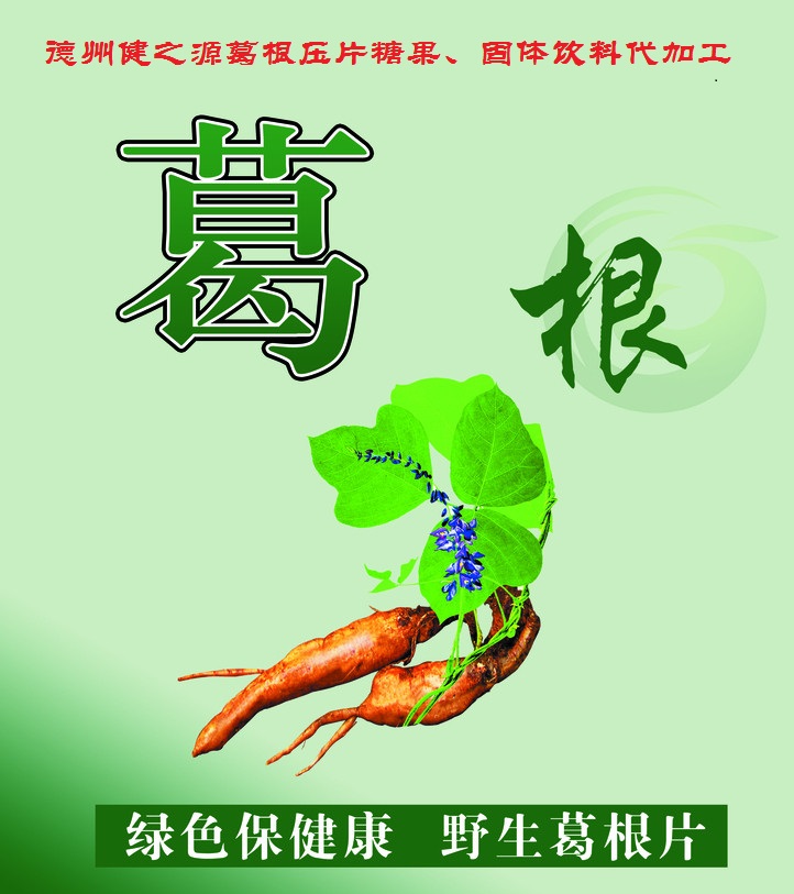 葛根，男女通用的人體調理專家